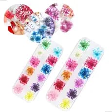 24un Flor Seca Natural para Encapsulamento de Unhas - 2 Caixas de Decoração