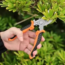 Tesoura De Poda Profissional Aço Inoxidável Super Afiada Antiderrapante Jardinagem