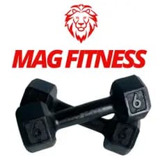 Par Halter Sextavado Pintado 6kg – Par de Pesos para Musculação, Treino em Casa, CrossFit