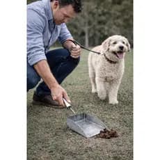 Pá Pazinha Cata Coco Coletora De Fezes Cães E Gatos Multiuso Top