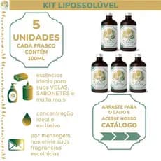 Kit 5 Essências Lipossolúveis | + 200 Opções de Fragrâncias | 100ml por frasco | Escolhas via Chat