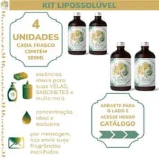 Kit 4 Essências Lipossolúveis | + 200 Opções de Fragrâncias | 100ml por frasco | Escolhas via Chat