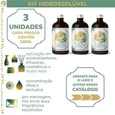 Kit 3 Unidades | Essências Hidrossolúveis | + de 200 Opções de Fragrâncias | 100ml por frasco | Escolhas via Chat