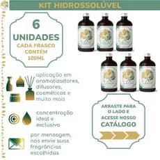 Kit 6 Essências Hidrossolúveis | + 200 Opções de Fragrâncias | 100ml por frasco | Escolhas via Chat