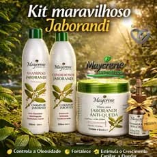 💚 Kit Anti Queda Jaborandi Maycrene 4x1 com Reparador de Presente – Crescimento + Força + Brilho Imediato