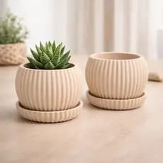 Vaso Decorativo para Suculenta com Prato Pequeno Moderno Minimalista