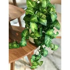 Pendente artificial externo Jiboia 50cm, Folhagem Verde grande, cozinha banheiro Decoração de Parede