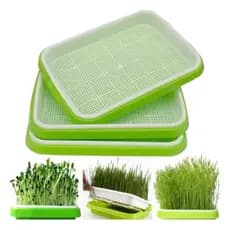 Kit com 3 Bandejas Duplas Germinação Sementes Microverdes Microgreens Horta Caseira Cultivo Broto