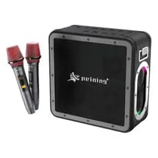 Caixa De Som Wireless Karaoke Peining S823