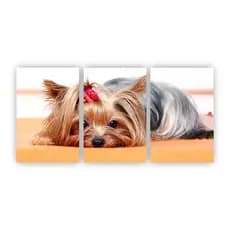 Kit 3 quadros decorativos Yorkshire cachorro pet dog mdf A4
