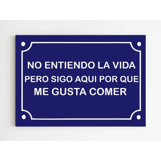 Placa decorativa no entiendo la vida pero sigo aqui por que me gusta comer
