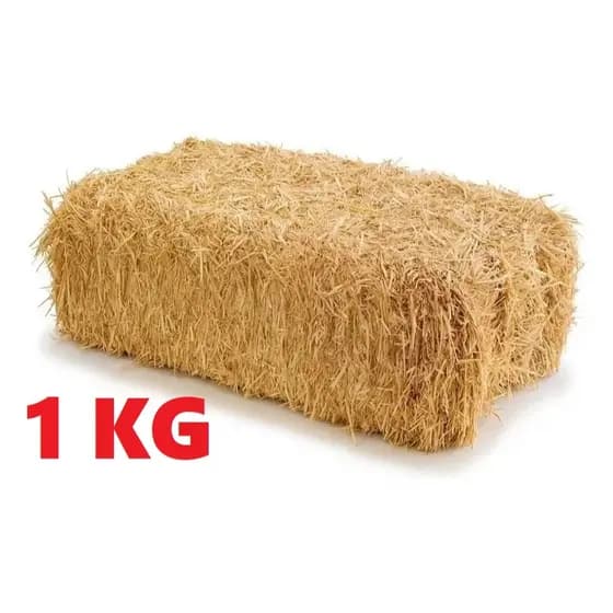 1 kg palha de madeira natural pinus decoração proteção enfeite