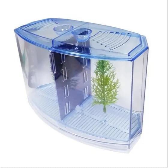 Aquário Betta Duplo Acrílico Com Ornamento – ​ Tanque Decorado Para Peixe