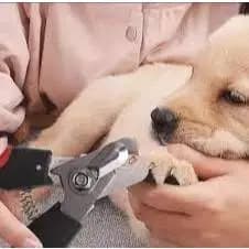 Alicate Pet Cortador Tesoura de unhas para gatos e cães, Emborrachado, Inoxidável, Cabo Anatômico