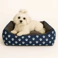Cama De Cachorro Grande 80x60cm Caminha Pet Casinha Impermeável Gato