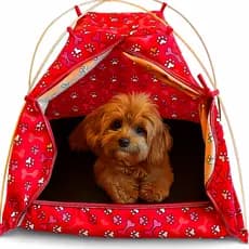 Cama Pet Iglu Para Cachorro 50x50cm Cão Gato Confortável Casinha Caminha