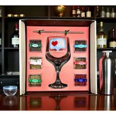Kit Gin c/ Taça 600 ml c/ Especiarias