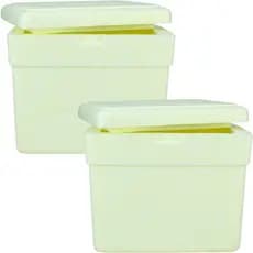 Kit 02 Caixa De Isopor Térmica 3 Litros Bebidas Gelo Medicamentos