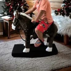 Cavalinho Infantil de Madeira – Brinquedo Educativo de Balanço Médio