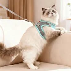 Coleira para gato, coleira antiderrapante para cachorro, top estilo colete para atividades ao ar livre no verão