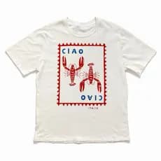 Camiseta Feminina Estampada Tendência Estampa Moderna Algodão 100% Tamanho Único