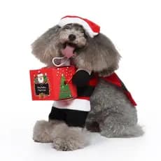 Fantasia De Cachorro Cosplay Papai Noel Engraçada Forma Festa Festival Natal Roupas De Gato De Estimação Dia Das Bruxas