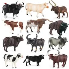 Simulação Selvagem Buffalo Vaca Gado Bezerro Touro OX Modelo Ação Figuras Fazenda Animais Figurinhas PVC Coleção Brinque