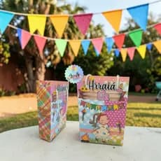 Sacolinha de Presente Festa Junina Lembrancinha de Aniversário Surpresa Infantil Personalizada Pegue Monte