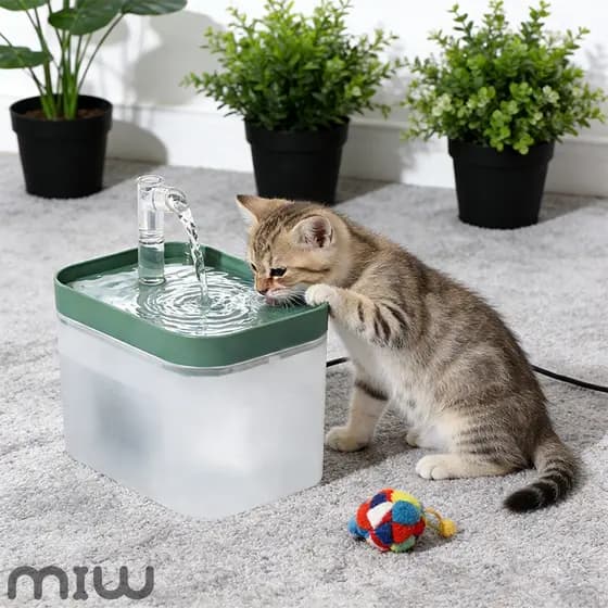 MIW Fontes Para Animais De Estimação com Filtro De Circulação Automática, Fonte De Água Elétrica para Gatos Bebedores