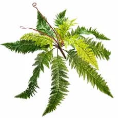 Samambaia Planta Arranjo Verde Hyper Realista 52x70cm