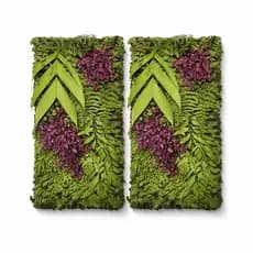 Kit 2x Placa Jardim Vertical Preservado Natural Desidratado 100x50cm Decoração Premium