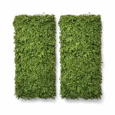 Kit 2 Placa Jardim Vertical Preservado Premium Desidratado 100x50cm Decoração