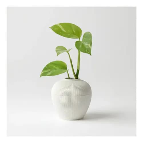 Kit 2 Vaso Propagação UniqueBox PV03 Branco Plástico Cultivar Plantas Muda Hidroponico 8cm