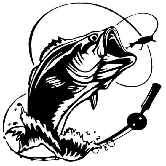 Adesivo Engraçado Para Veículo Gráfico De Pesca De Robalo 17 * 17 Cm Fosco Preto Branco Decalque De Vinil À Prova D'água