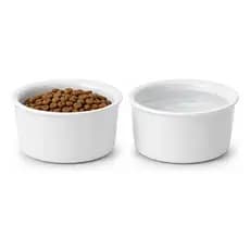 Kit 2 Comedouro Cachorro Pet Porcelana 600ml Bebedouro Tigela 1 Linha Linha Premium