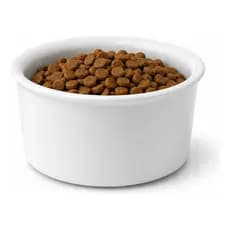 Comedouro 600ml Porcelana Cachorro Gato Pet Bebedouro Tigela