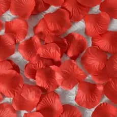 10000 Pétalas de Rosas Artificiais Brancas/Vermelhas Decoração Casamento Festas