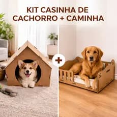 Casinha e Caminha Pet Cantinho de Descanso em Casa