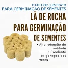 Kit 10 Lã de Rocha para Germinação de Sementes – Hidroponia, Solo e Coco Cultivo Grow