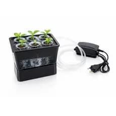 Aeroclonador Hidropônico 6 Mudas Profissional Kit Completo Enraizamento Rápido Propagador de Mudas Grow