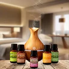 KIT 5 ESSÊNCIAS 20ML + UMIDIFICADOR VASO CLARO | AROMAS PARA CASA | PERFUME AMBIENTE