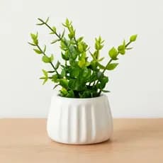 Vaso de Cerâmica Decorativo branco com Planta Artificial | Minimalista para Casa e Escritório