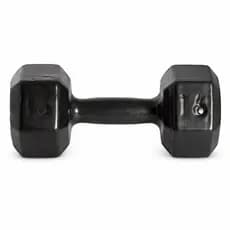 HALTER SEXTRAVADO 16KG EMBORRACHADO PESO DUMBBELL EXERCÍCIO FORÇA MUSCULAÇÃO GYM PILATES FISIOTERAPIA ACADEMIA EM CASA
