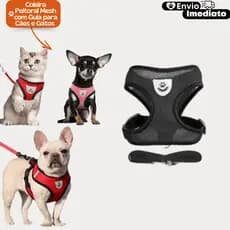 Kit Coleira Peitoral Cães E Gatos Ajustável Com Guia Colete Pet
