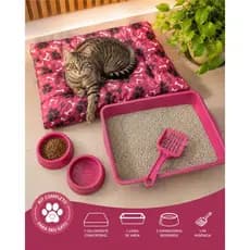 Caixa de Areia para Gato Cama de Gatos pet Kit Completo Premium Luxo