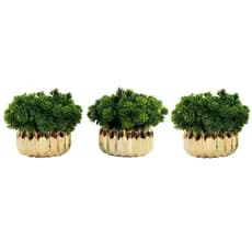 Kit Decoração Sala 3 Mini Vasinhos Cerâmica e Planta Artificial