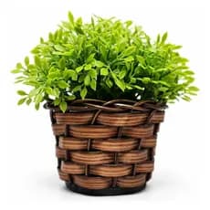 Decoração Vaso De Vime E Planta Artificial Pronto Já Montado