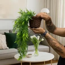 Planta Decorativa: Vasos Trançado Marrom + Pendentes Artificial Folhas De Bambu