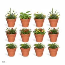 Kit 100 Mini Vasos de Barro Cerâmica Cachepôs 8×7cm Vasinho para Flor Suculentas Cactos Orquídeas Jardinagem Decoração