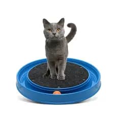 ARRANHADOR GATO REDONDO FURACAO PET